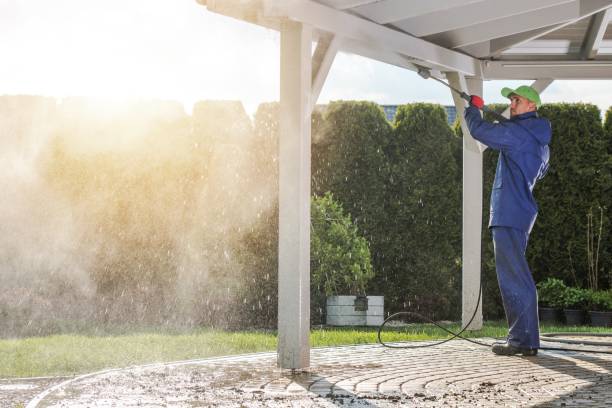 Best Rust Removal  in West Sharyland, TX